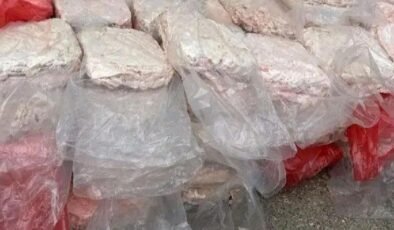 Mide bulandıran görüntü! Tonlarcası ele geçirildi